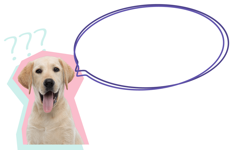 Stape's mascot dog with question marks and a speech balloon